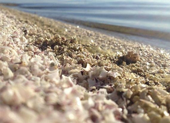 salton_sea