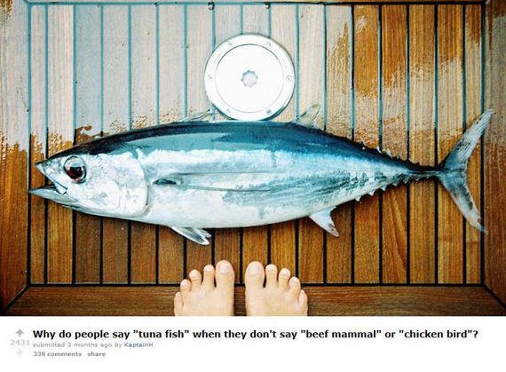 shower_thoughts_interesting_facts