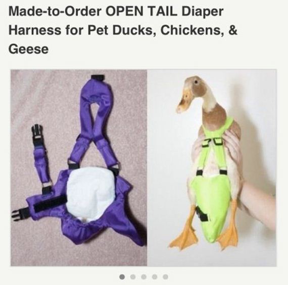 shut-up-and-take-my-money