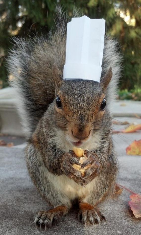 sneezy-the-squirrel-loves