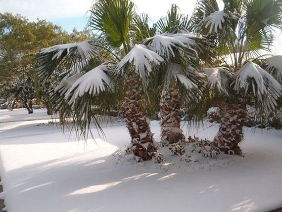 snow_in_egypt