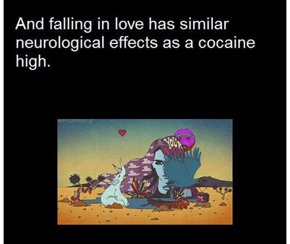 some_facts_about_love