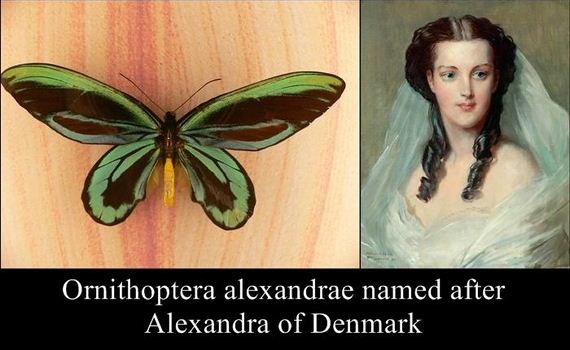 species_named_after_famous_persons_strange