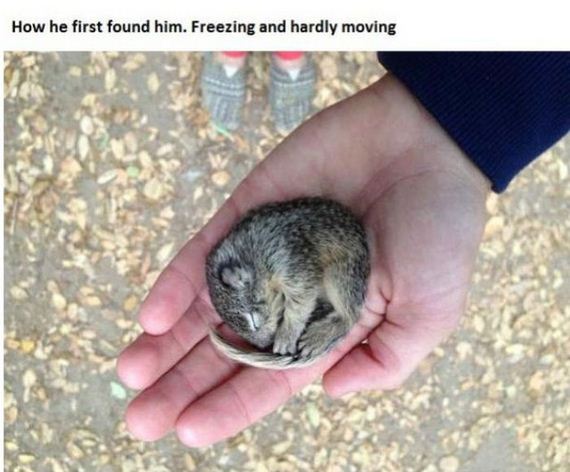 story_of_tiniest_rescued