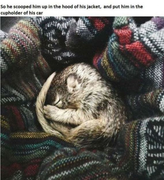 story_of_tiniest_rescued
