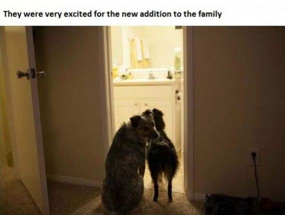 story_of_tiniest_rescued