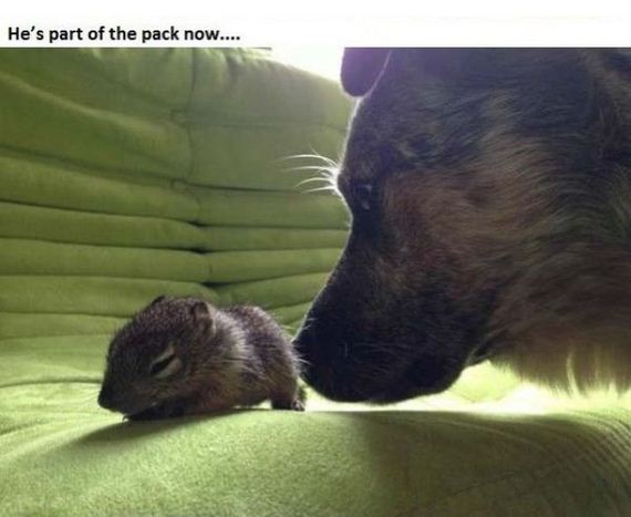 story_of_tiniest_rescued