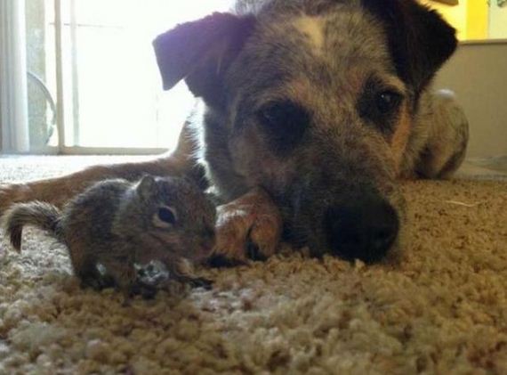story_of_tiniest_rescued
