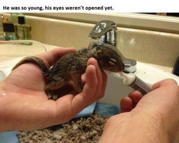 story_of_tiniest_rescued