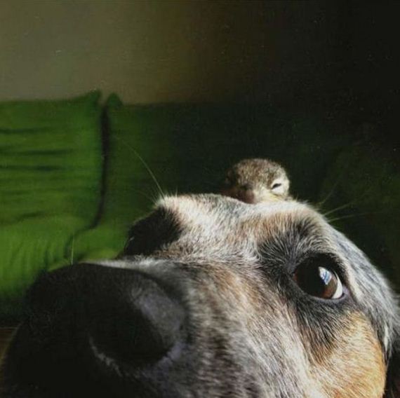 story_of_tiniest_rescued