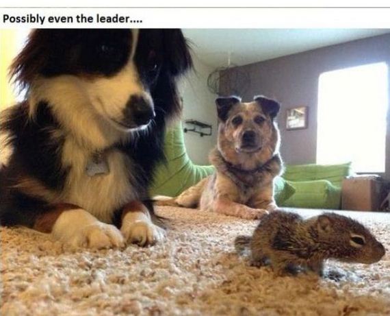 story_of_tiniest_rescued
