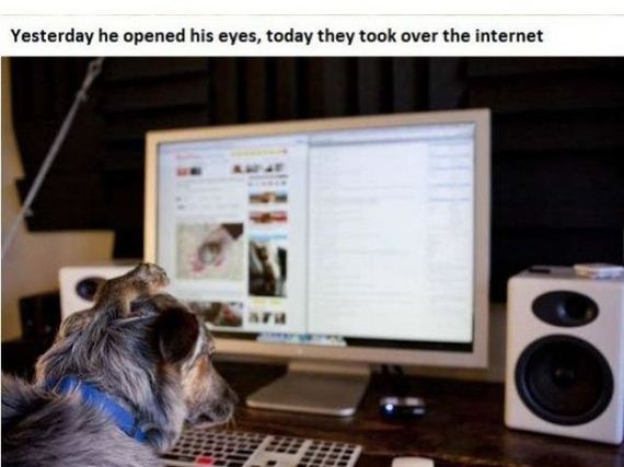 story_of_tiniest_rescued