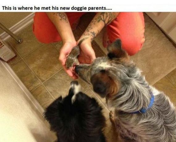 story_of_tiniest_rescued