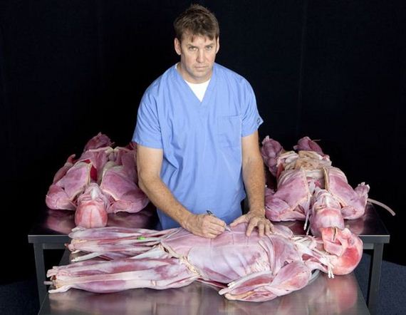 syndaver_01