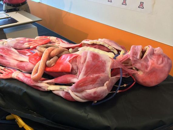 syndaver_01