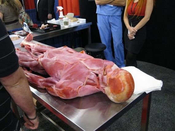 syndaver_01