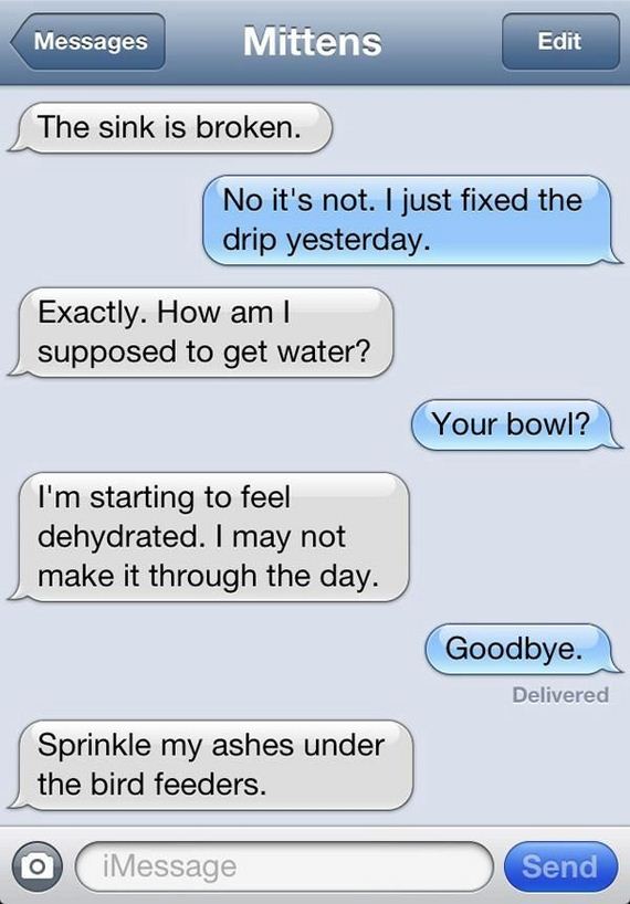 text_messages_from_a_cat