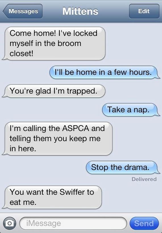 text_messages_from_a_cat