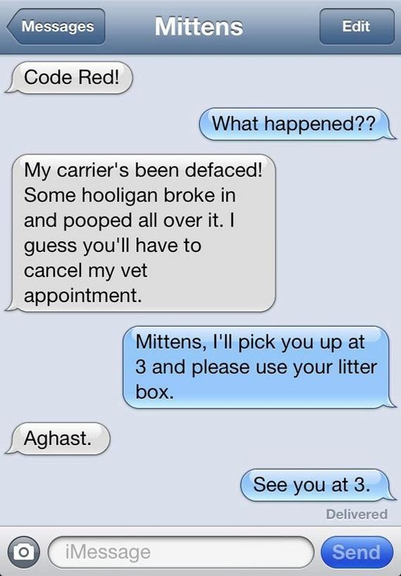 text_messages_from_a_cat
