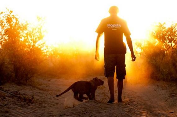 the_man_who_lived_with_lions_in_africa