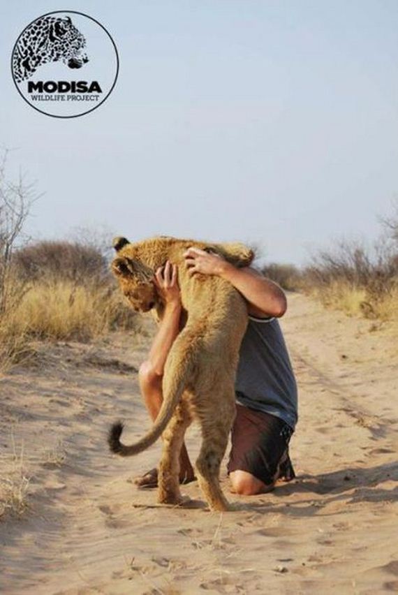the_man_who_lived_with_lions_in_africa