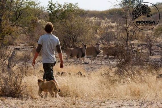 the_man_who_lived_with_lions_in_africa
