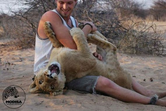 the_man_who_lived_with_lions_in_africa