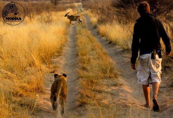 the_man_who_lived_with_lions_in_africa