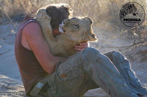 the_man_who_lived_with_lions_in_africa