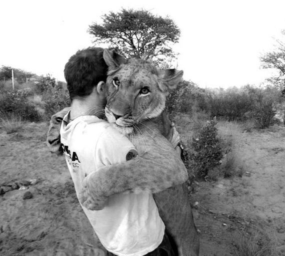 the_man_who_lived_with_lions_in_africa
