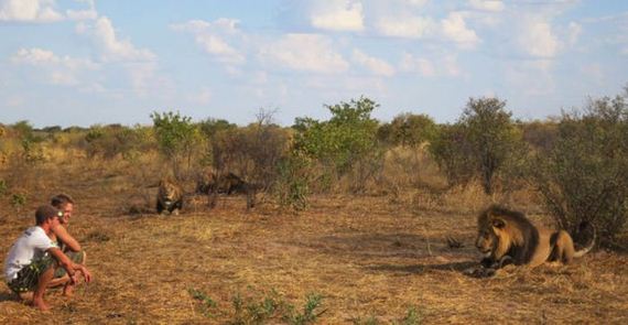 the_man_who_lived_with_lions_in_africa