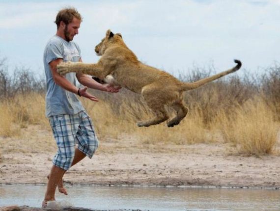 the_man_who_lived_with_lions_in_africa