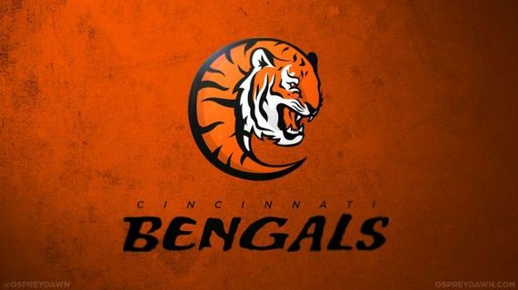 the_nfl_redesigned