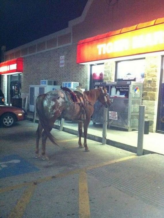 things_are_a_little_different_in_texas