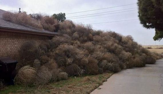 things_are_a_little_different_in_texas