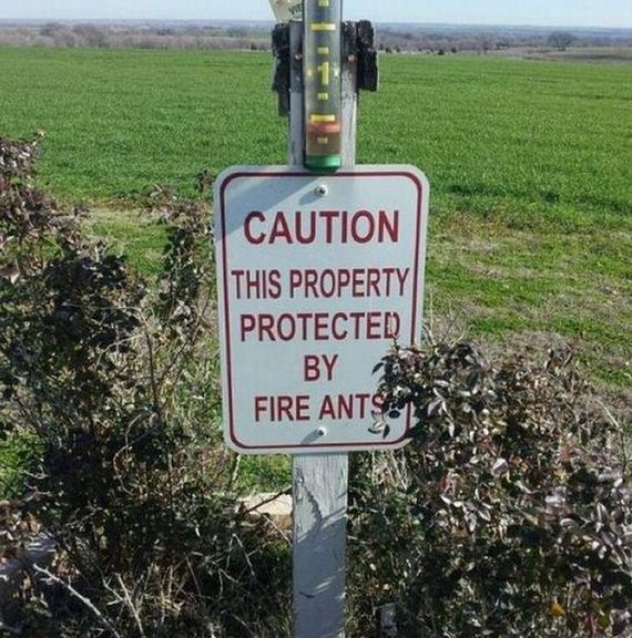 things_are_a_little_different_in_texas