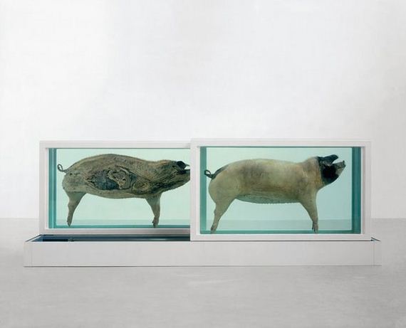 things_cut_in_half
