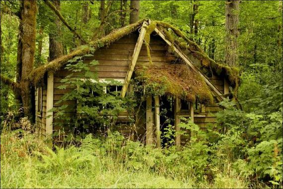 this_is_what_a_house_in_the_woods_should_look_like