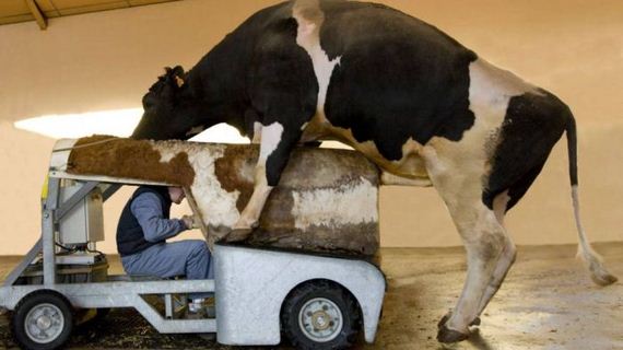 very_interesting_photos-14