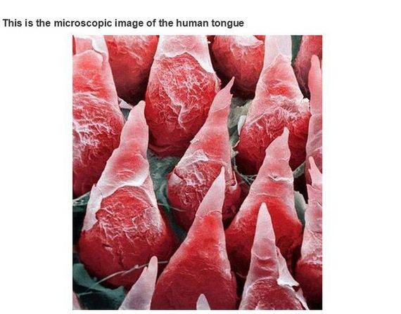 very_interesting_photos-18