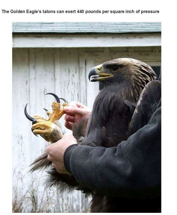 very_interesting_photos-23