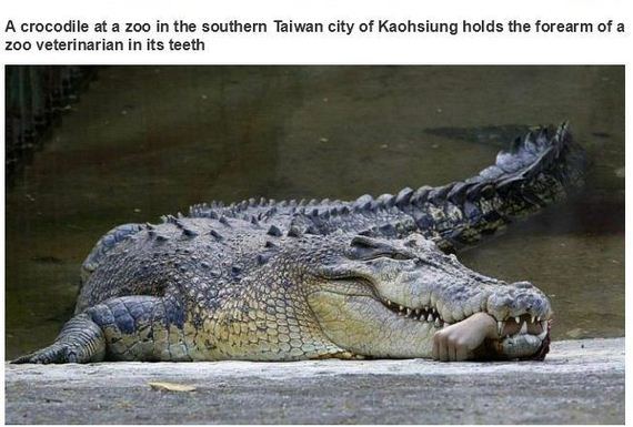 very_interesting_photos-23