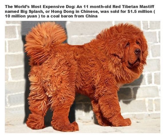 very_interesting_photos