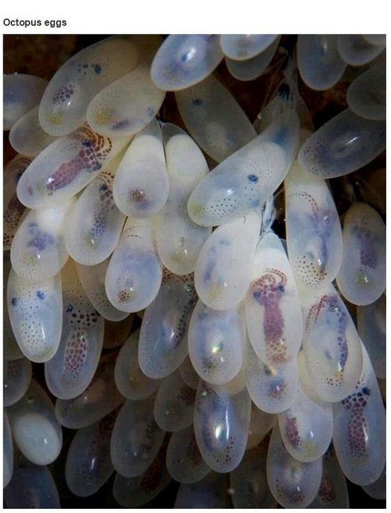very_interesting_photos