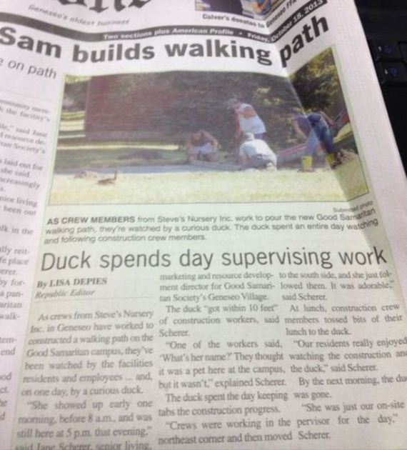 weird_local_news_captions_06