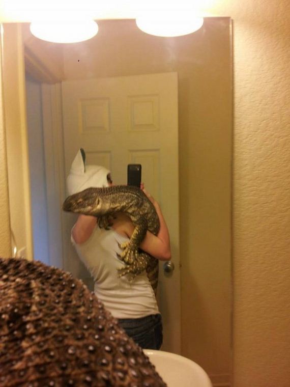 weird_pet