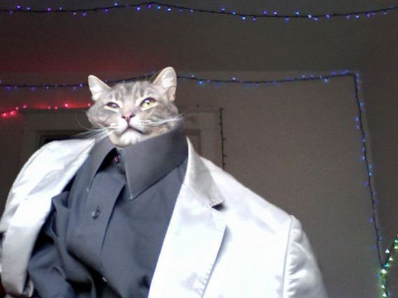 well_dressed_animals