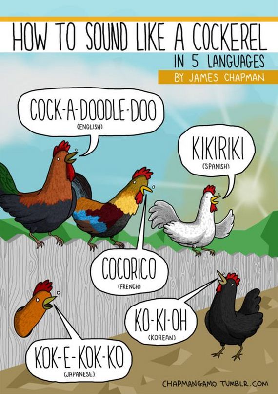 what_noises_do_animals_make_in_other_languages