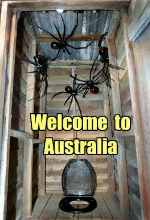 why_arachnophobes_should_skip_australia