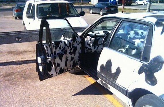 why_did_you_pimp_that_ride